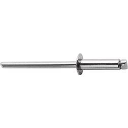 Rapid 5000395 Stainless Steel Rivets 4