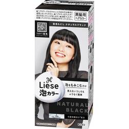 Japan Liese Bubble Foaming Hair Color Kit