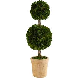 Nearly Natural 2.5ft. Preserved Boxwood Double Ball Topiary Tree