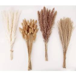 ANPROOR Dried Pampas Grass White/Brown Decorative Item