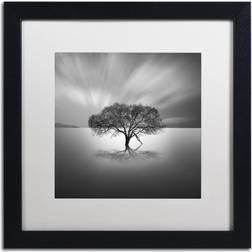 Trademark Fine Art Water Tree VIII Moises Levy Nature Print Wall Decor