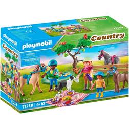 Playmobil Picnic Adventure with Horses 71239