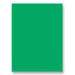Paconï¿½ Decorolï¿½ Flame-Retardant Paper Roll, 36" x 1000' Festive Green