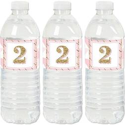 2nd Birthday Girl Two Much Fun Second Water Bottle Sticker Labels 20 Ct Pink