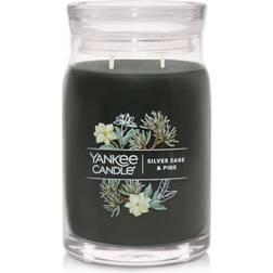 Yankee Candle Silver Sage & Pine Scented Candle 20oz