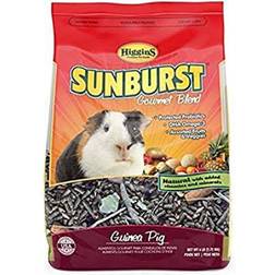 Higgins Sunburst Gourmet Blend Guinea Pig