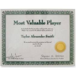 Advantus Panel Wall Acrylic Certificate Holder