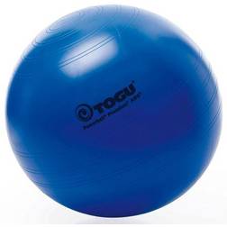 Togu Powerball Premium ABS 55cm