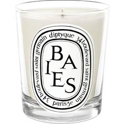 Diptyque Baies Scented Candle 6.5oz