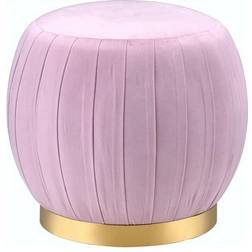 Acme Furniture Zinnia Collection 96448 Foot Stool