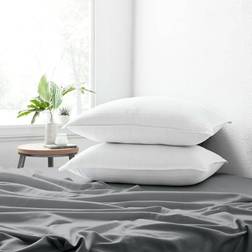 Home Collection 2-Pack Down Pillow