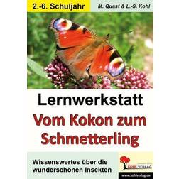 Lernwerkstatt Vom Kokon zum Schmetterling