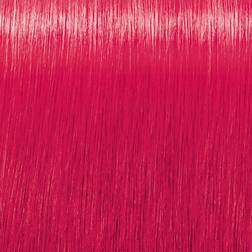 Indola Crea-Bold True Pink