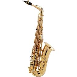 Selmer Paris Seles Axos Series Alto Saxophone Lacquer