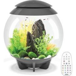 Biorb Halo 30 Aquarium with MCR Light 8 Gallon