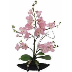 Europalms Orchidee, EVA Künstliche Pflanzen
