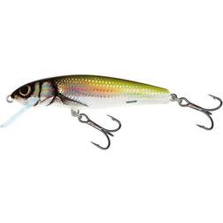 Salmo Minnow 70 Mm 8g Mehrfarbig