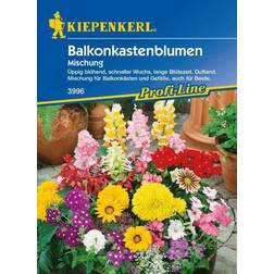 Kiepenkerl Balkonkastenblumen Inhalt: 2