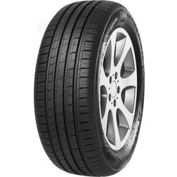 Minerva F 209 205/55R16 91H