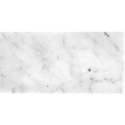 Apollo Tile Gray 3-in. 6-in. Polished Marble Subway Tile