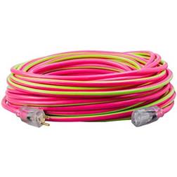 Southwire Extension Cord General Purpose 12/3 100'