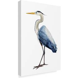 Trademark Fine Art Seabird Heron I Canvas Popp Framed Art