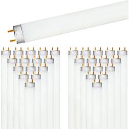 Luxrite 32-Watt 48 in. Linear F32T8/841 T8 Tube Fluorescent Light Bulb 4100K Cool White 2800 Lumens 30-Pack