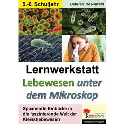 Lernwerkstatt Lebewesen unter dem Mikroskop Klasse 5-6