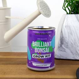 Gift Republic Grow Tin Brilliant Bonsai