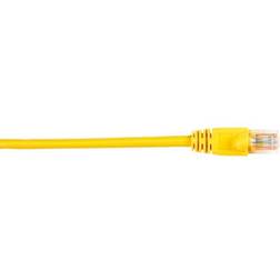 Black Box Connect Cat.5e UTP Patch Cable 10 ft Category 5e