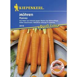 Kiepenkerl Möhre Flyaway Daucus