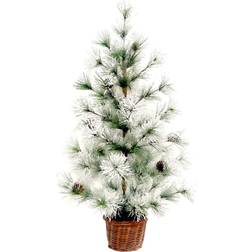 Celebrations 9071024 Tabletop Frosted Christmas Tree