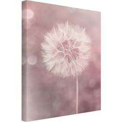 Ebern Designs Pusteblume von Andrea Haase Bild