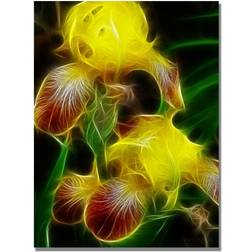 Trademark Fine Art 'Yellow Iris' Kathie McCurdy Graphic on Wall Decor