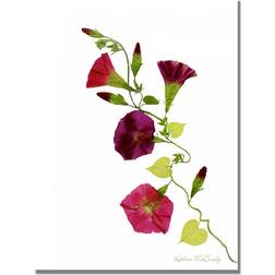 Trademark Fine Art 'Morning Glories' Kathie McCurdy Framed Graphic on Wrapped Wall Decor