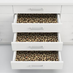 Leopard Set Of 2 Color