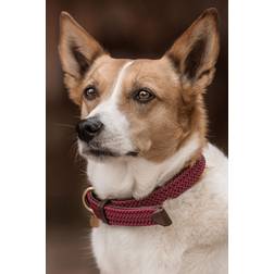 Kentucky Dogwear Hundehalsband geknüpftes Nylon Bordeaux 37cm