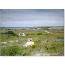 Trademark Fine Art Shinnecock Long Island Canvas Chase Framed Art