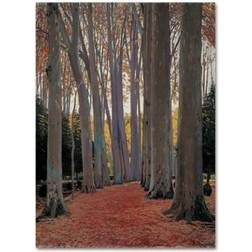 Trademark Fine Art 'Avenue Of The Trees' Print on Framed Art