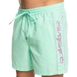 Quiksilver Men's Everyday Vert Swim Trunks - Beach Glass