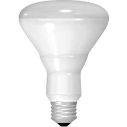 GE 20330 45 Watt Floodlight BR30 Light Bulb, Soft