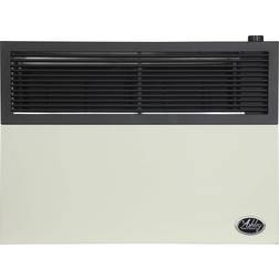 Ashley 17,000 BTU Direct Vent Natural Gas Heater