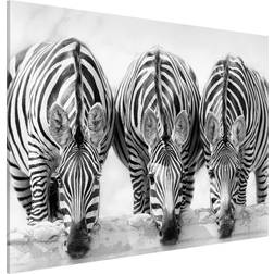 Magnettafel Tiere Querformat 4:3 Zebra Trio Pinnwand