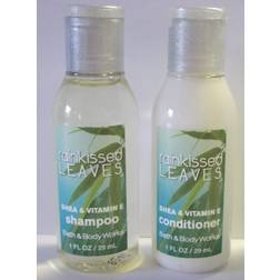 Bath & Body Works Rainkissed Leaves Shampoo Conditioner. Total