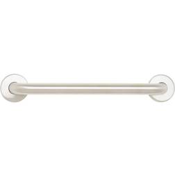 Seachrome 16 Steel Mount ADA Compliant Shower Grab Bar