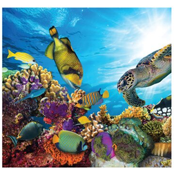 Coral reef backdrop aquarium theme cardboard cutout standups standees fishes