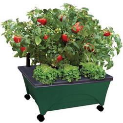 Emsco CITY PICKERS 24.5 20.5 Patio Raised Garden Bed Grow Box Kit