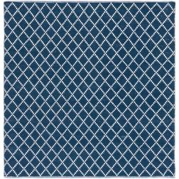 Safavieh Flatweave Montauk Blue, White 48x72"