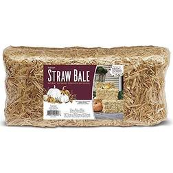 FloraCraft Harvest Straw Bale: 20 x 9 inches