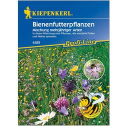Kiepenkerl Bienenfutterpflanze mehrjährig Inhalt: 5 8